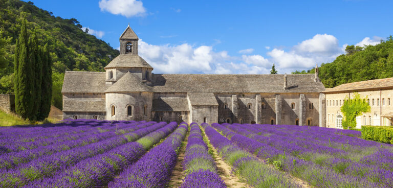 Abbey de Senanque