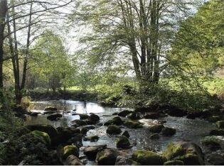 Lonlay-l’Abbaye : un trésor spirituel au cœur de la Normandie