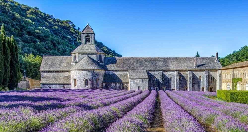 La majestueuse Abbaye de Sénanque : un havre de paix et de spiritualité