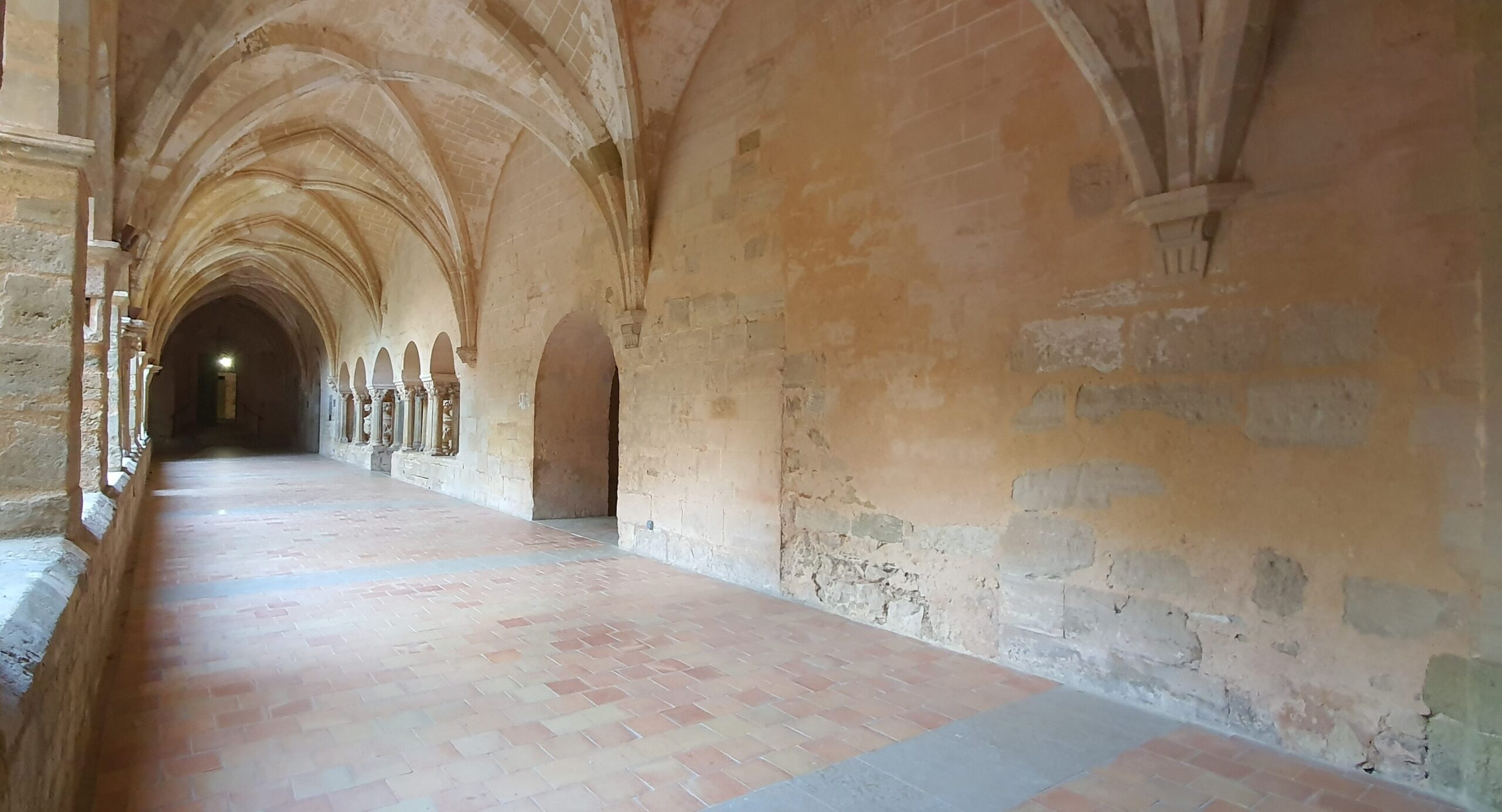 Le secret de l’abbaye : quels mystères cachent ces murs anciens ?