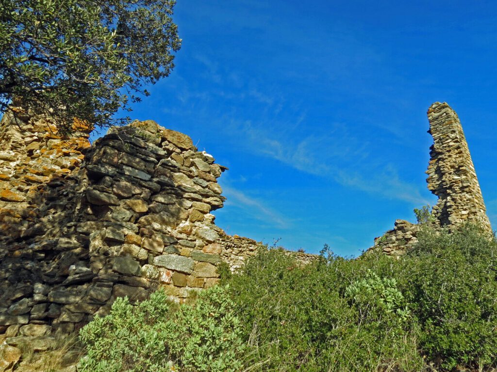 Visite silencieuse : que révèlent les pierres de l’abbaye de Limon ?