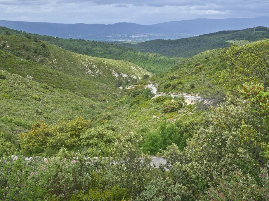 Découverte de l’abbaye de Rosans : un havre de paix spirituel niché dans les Hautes-Alpes