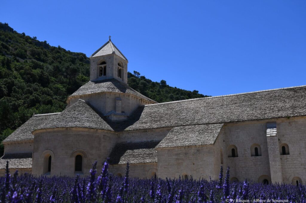 Senanque abbaye : un havre de paix et de spiritualité en Provence