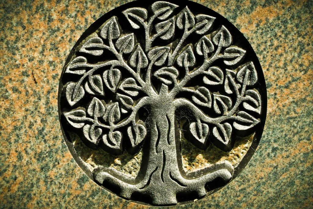 Signification de l’arbre de vie dans différentes cultures