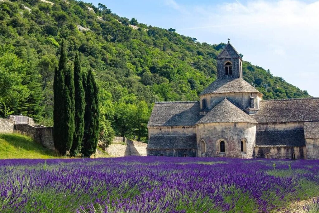 Forest l’Abbaye : un havre de paix où spiritualité et nature se rencontrent