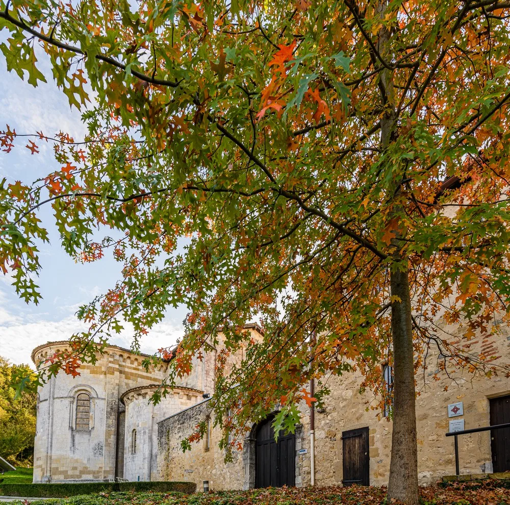 Vue panoramique de l'abbaye d'Arthous à Hastingues, un joyau architectural du patrimoine des Landes
