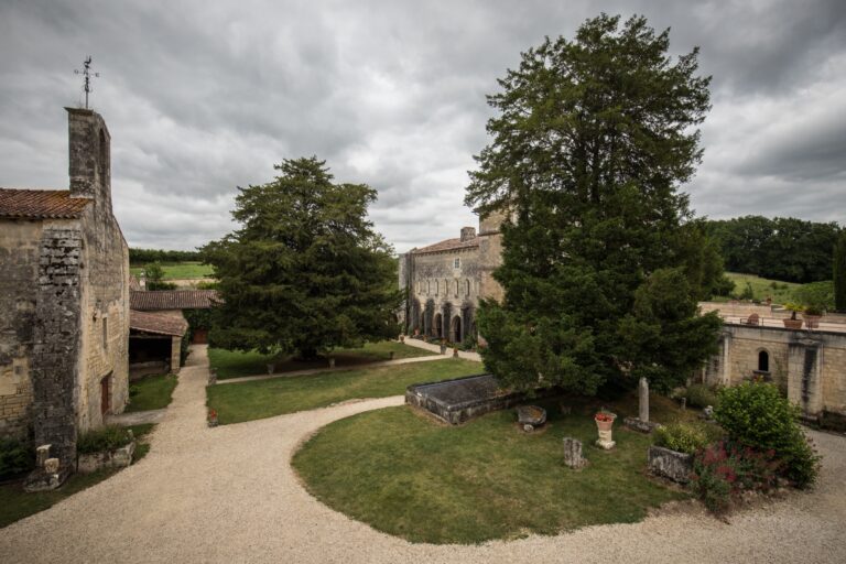 Vue pittoresque de l'abbaye de Fontdouce entourée de vignes en Charente-Maritime