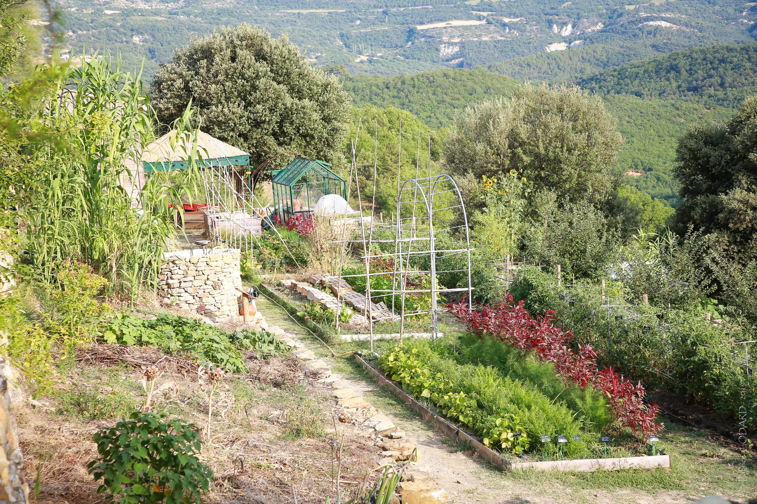 Potager de l'Abbaye de Valsaintes