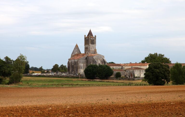 Vue panoramique de l'Abbaye de Sablonceaux entourée de verdure