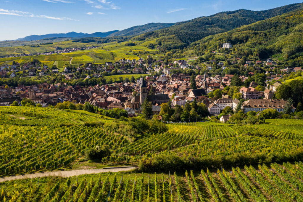 Quel domaine viticole visiter en Alsace ?