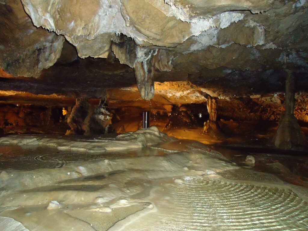 Que voir aux grottes de Gargas ?