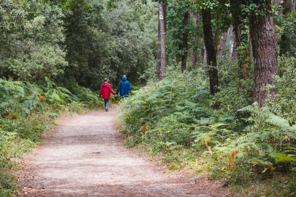 Randonnée dans le massif de la Gardiole : itinéraires et conseils