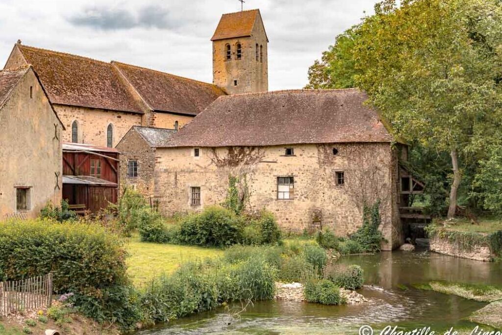 Découverte de l’abbaye de l’Epau au Mans : un havre de paix chargé d’histoire